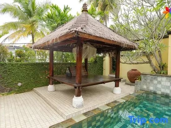 30P Luxurious Balinese Villa - photo 2