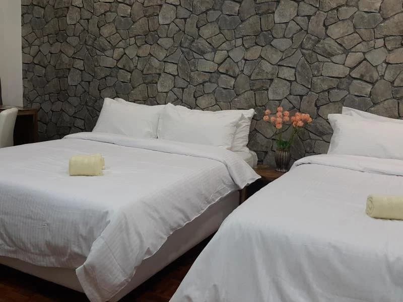 Harmony Guest House - photo 6