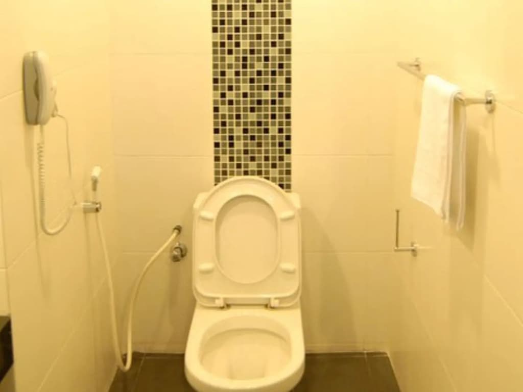 Manja Hotel - photo 7