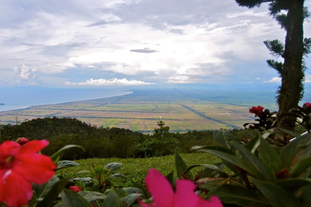 The Jerai Hill Resort - photo 30
