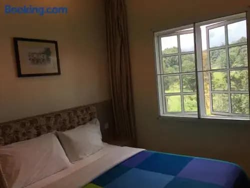 CH Green Stay Resort Apartment - photo 3