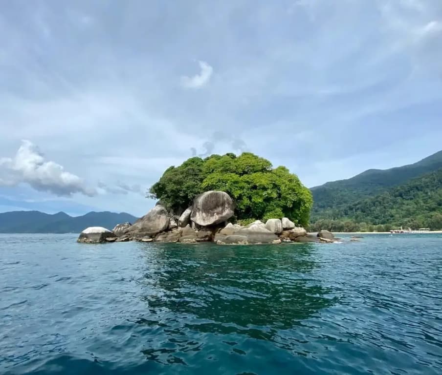 The Garden Tioman - photo 3
