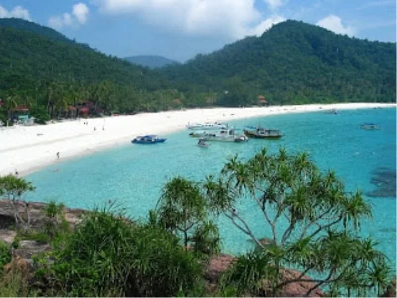 Homestay Amer - photo 12