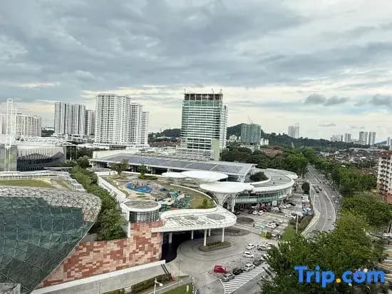 Star & Moon Garden - photo 4