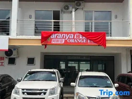 Aranya Orange Inn - photo 2
