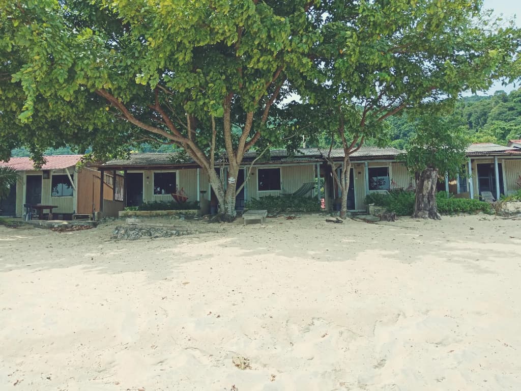 Coral Reef Holidays - photo 4