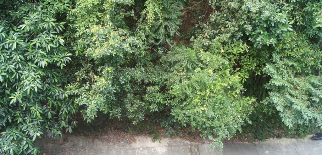 Hotel Hsiang Garden - photo 17