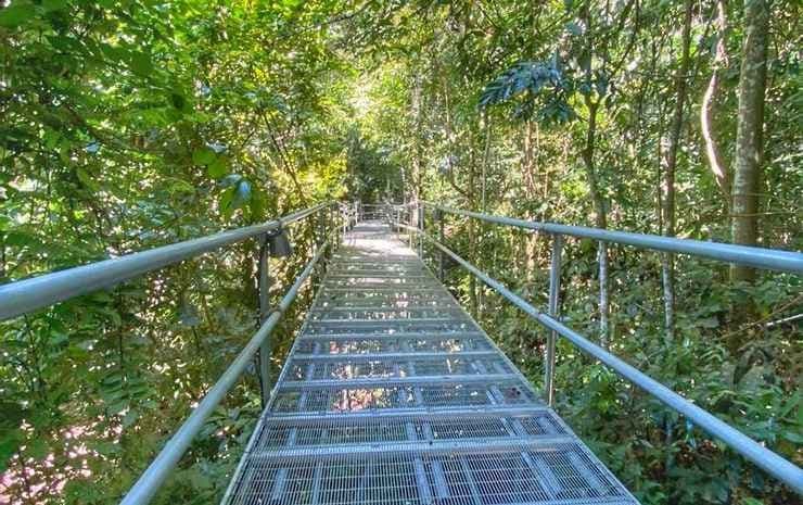 Gibbon Retreat Bentong - photo 9