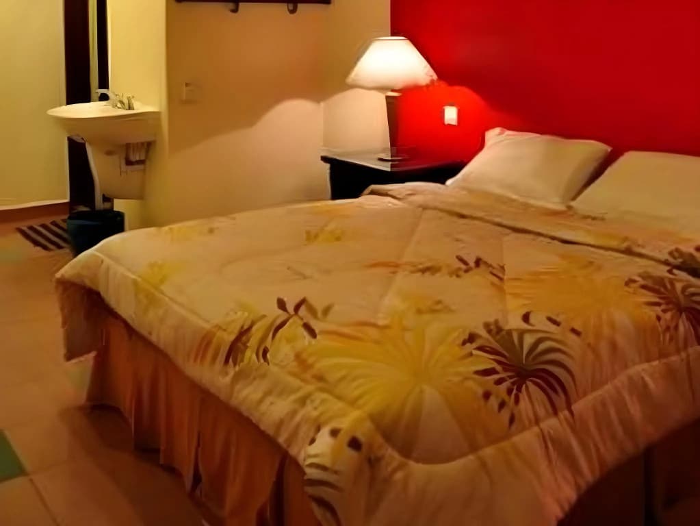 Silverstar Hotel - photo 13