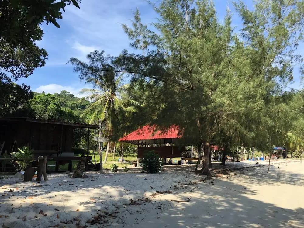 Wild Pasir Panjang - photo 13
