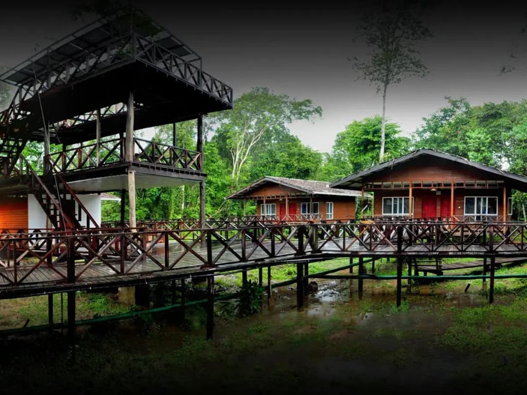 Borneo Nature Lodge - photo 11