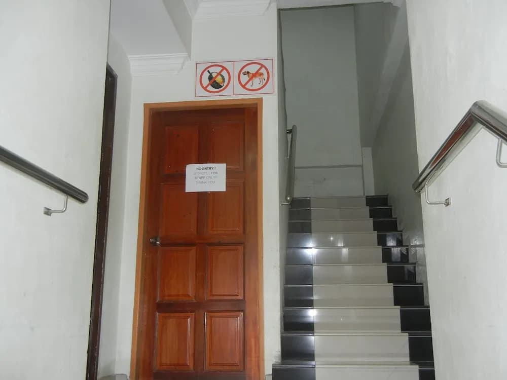 Borneo Hotel - photo 1
