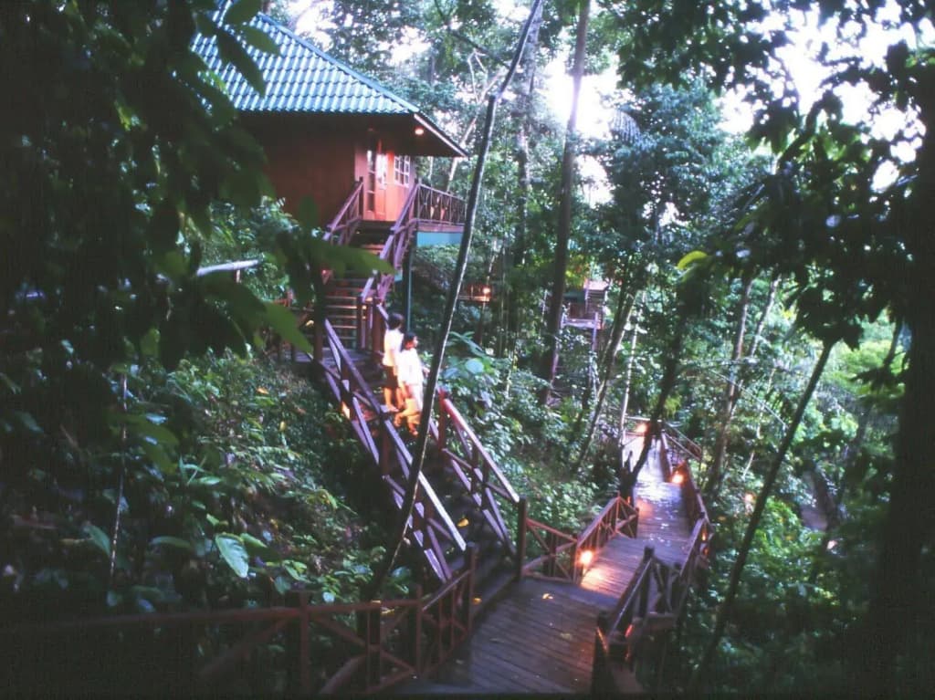 Tabin Wildlife Resort - photo 7