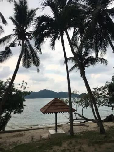Pangkor 16 Homestay - photo 10