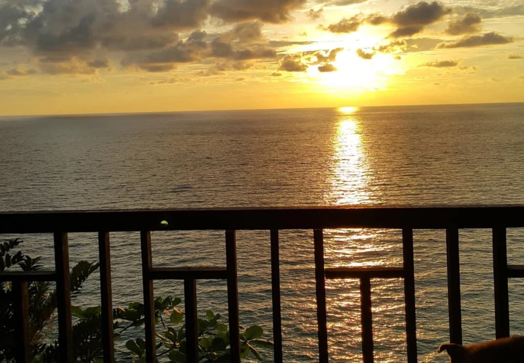 Sunborneo Island Resort - photo 2