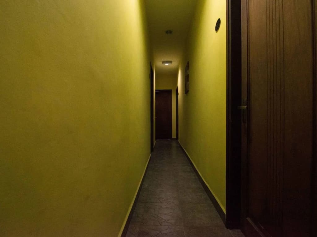 OYO 109 V'la Park Hotel - photo 11