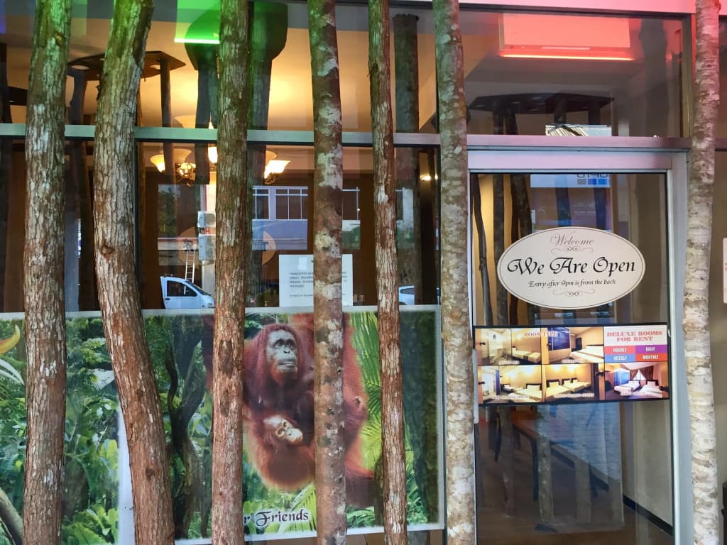 Rainforest Budget Stay - photo 1