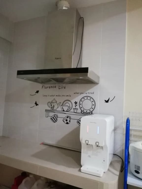 Ray'S Homestay - photo 8