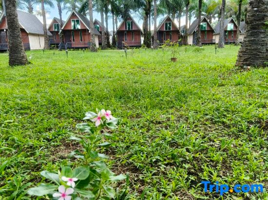 Nature Resort - photo 8