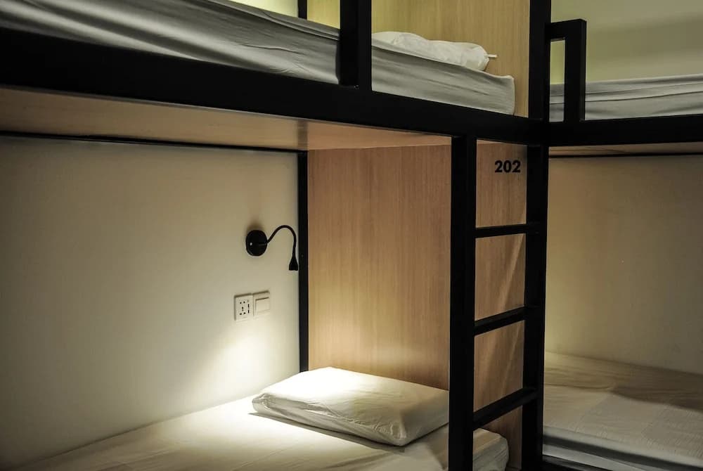 Zoku Lifestyle - photo 6