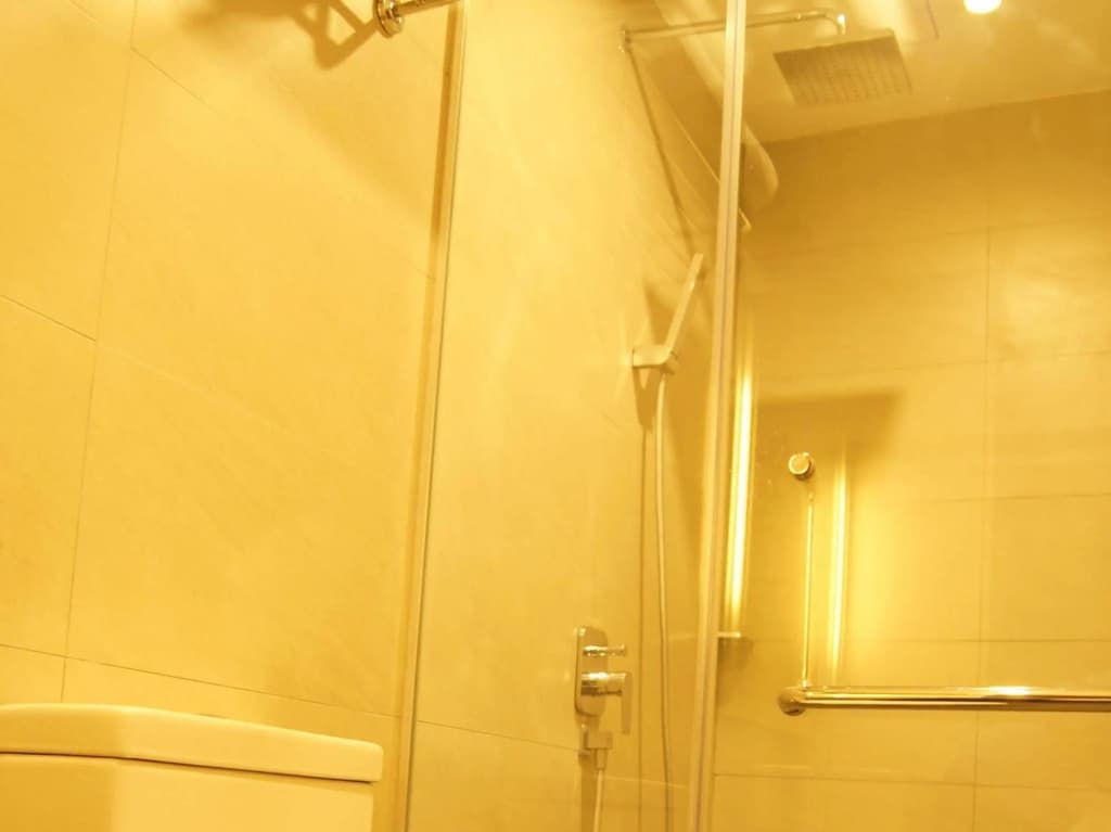 The Mesui Hotel - photo 9