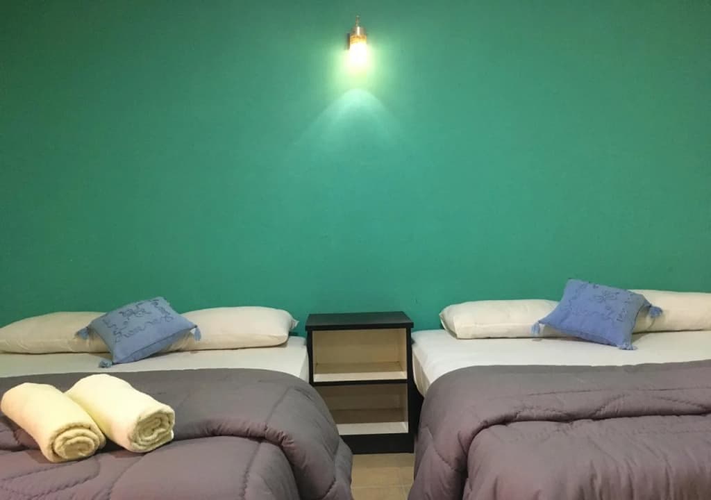 Hotel Mansya - photo 5