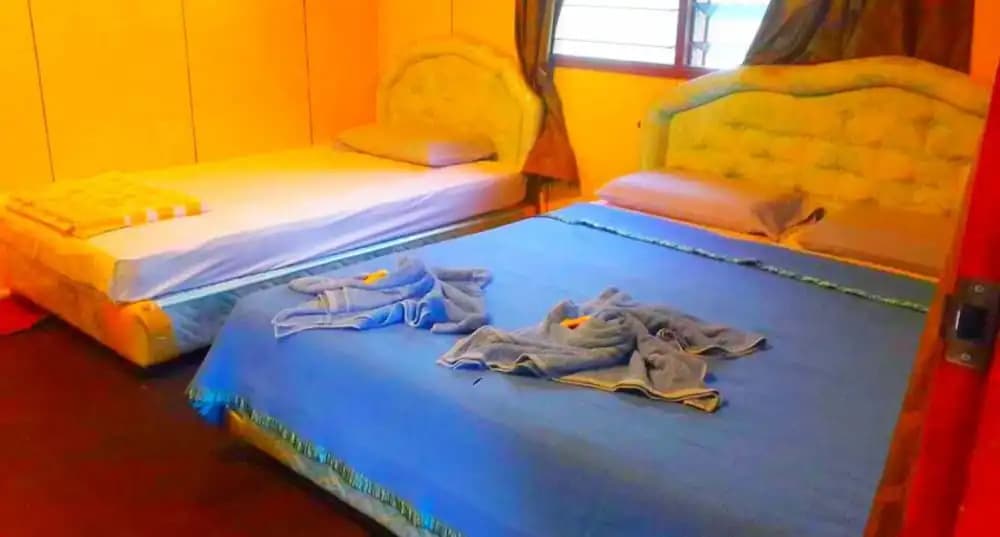 Sukau Backpackers B&B - photo 17
