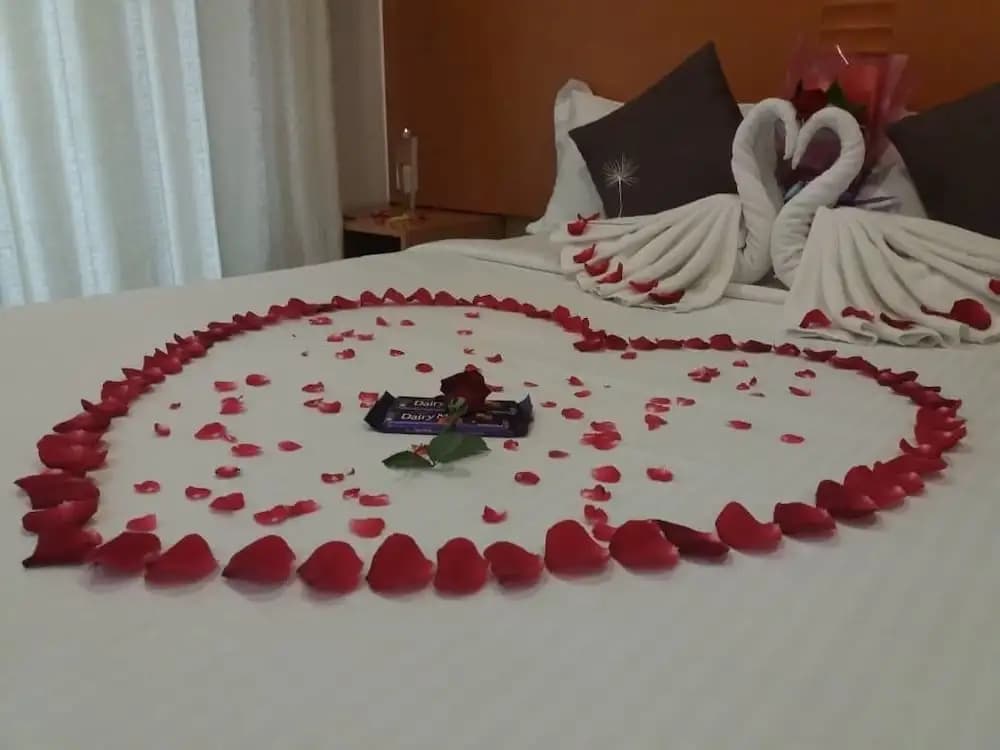 Cameron Nova Highlands Resort - photo 3