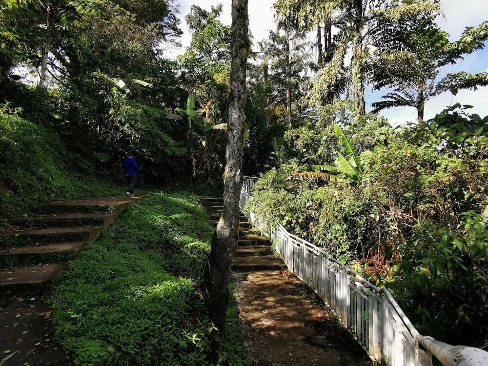 The Woodz Homestay - photo 39