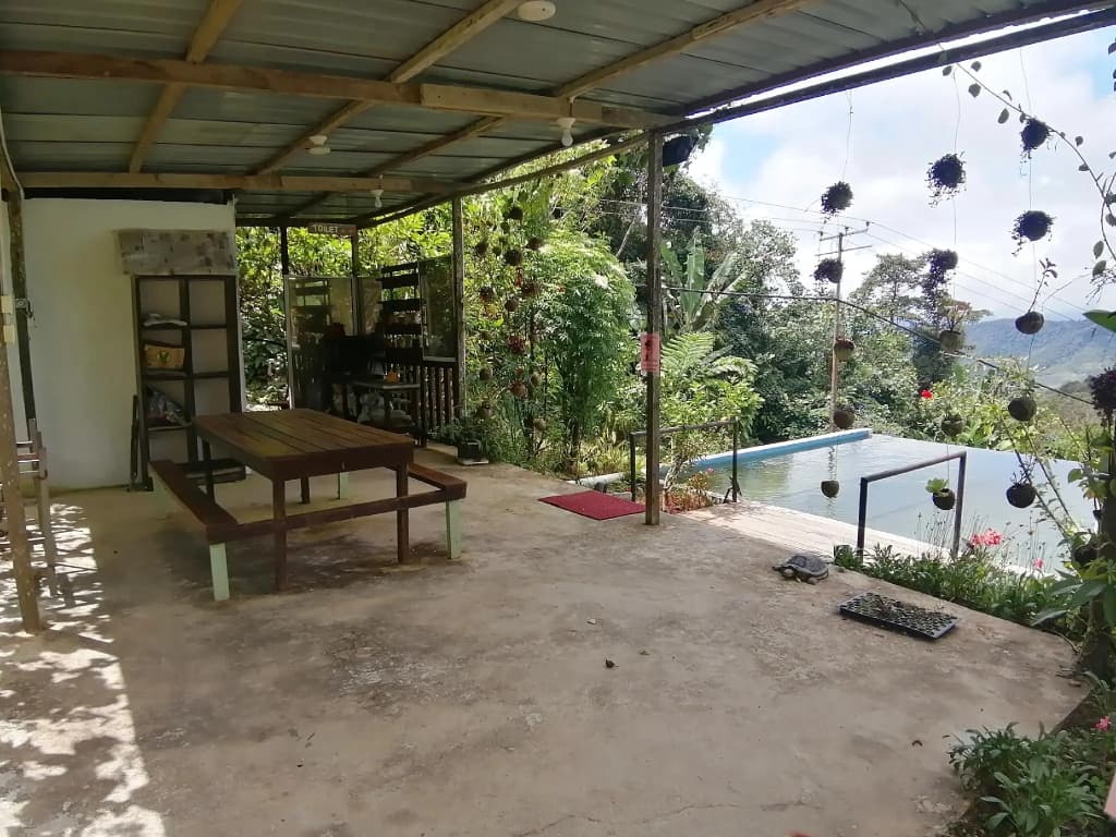 Happy Garden - photo 1