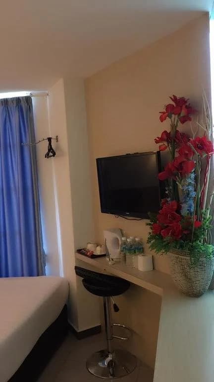 Dolphin Hotel - photo 11
