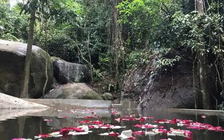 Gibbon Retreat Bentong - photo 4