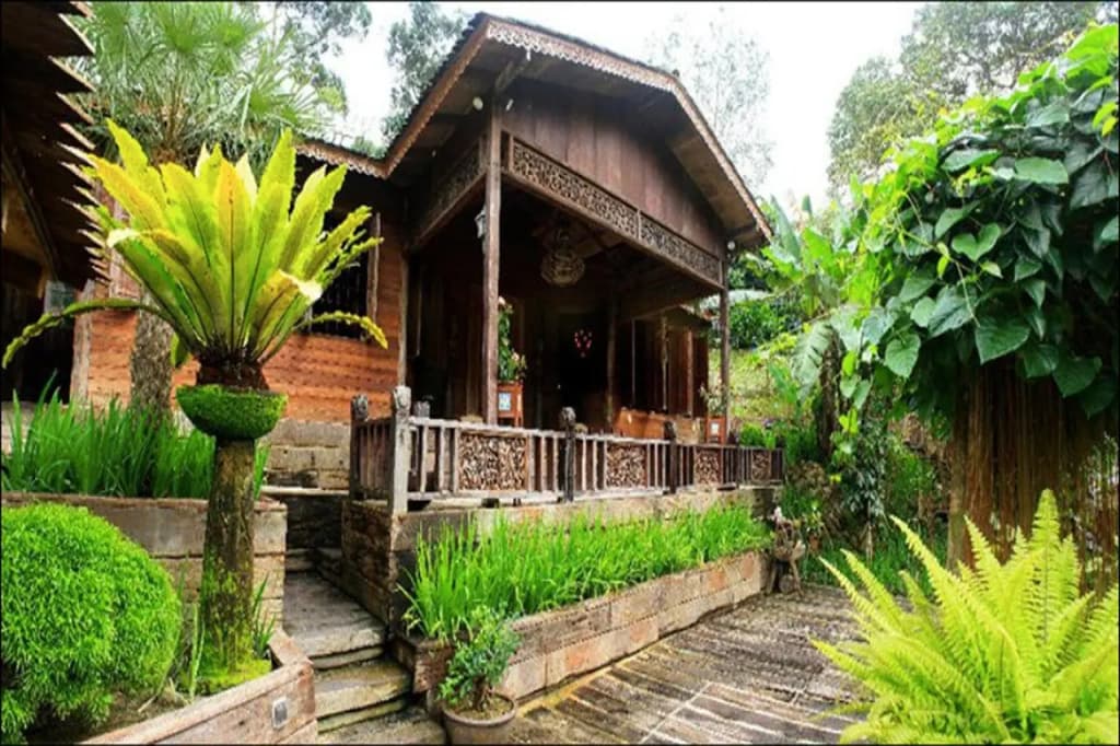 Fig Tree Hills Resort - photo 23