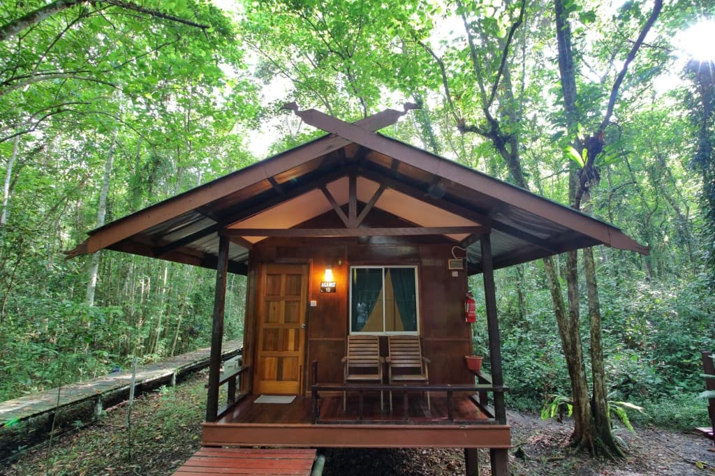 Tanini Kinabatangan (Formerly Known as Nature Lodge Kinabatangan) - photo 11