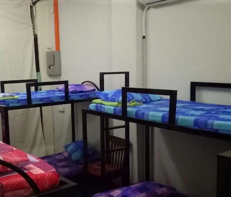 1921 Gallery - Hostel - photo 2