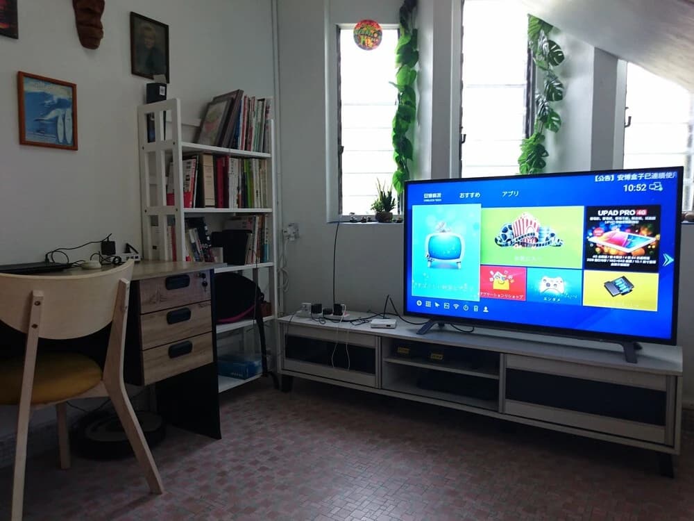 Sea Lion by the Beach - photo 6