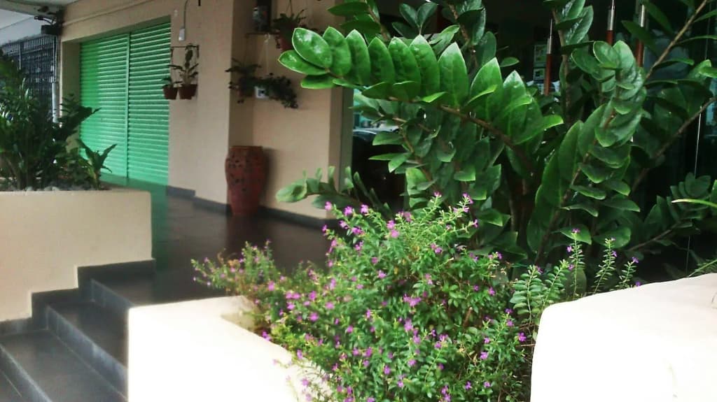 The Fern Lodge (Sanitized Stay) - photo 15