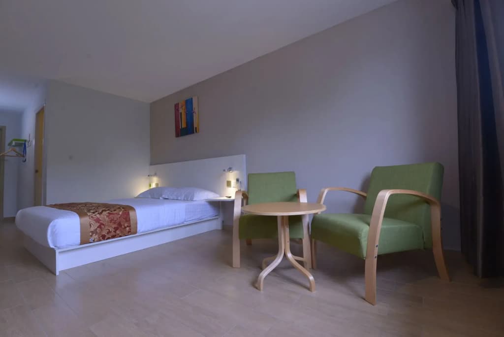Hotel Pintar - photo 5