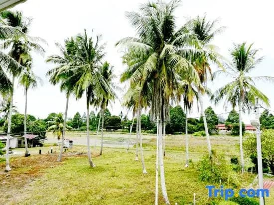 Haji Hassan Guest House - photo 7