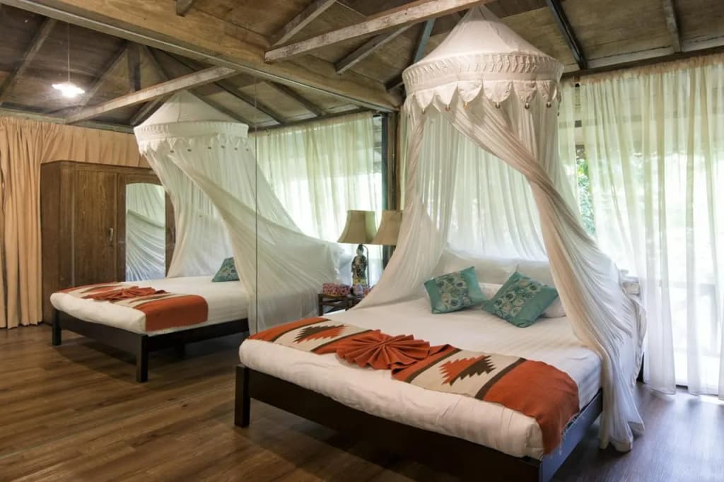 Fig Tree Hills Resort - photo 25