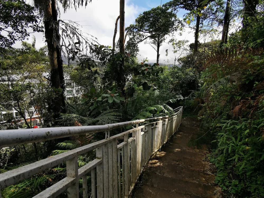 The Woodz Homestay - photo 19