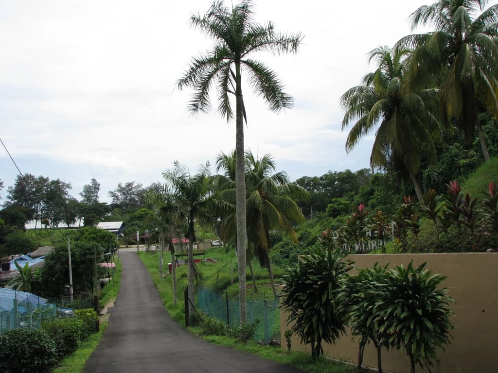 Mersing Merlin Inn - photo 19