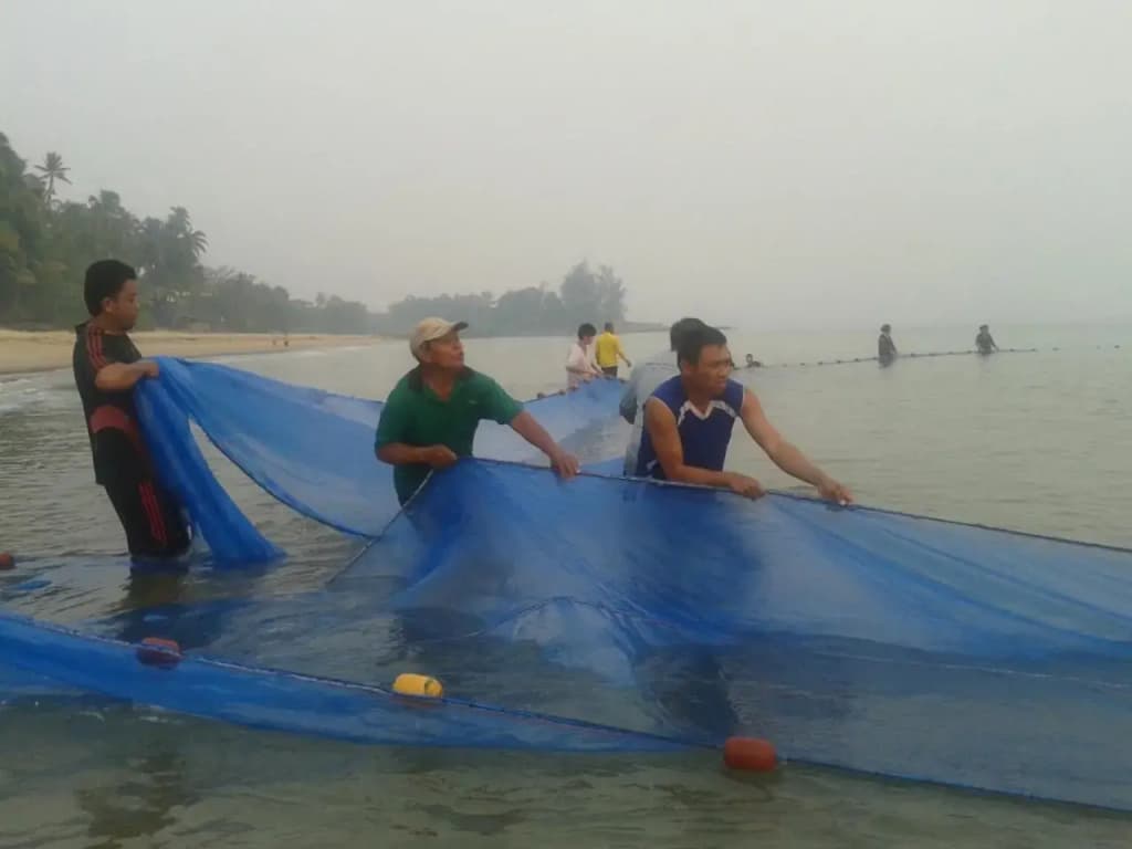 Pandan Beach Homestay - photo 15