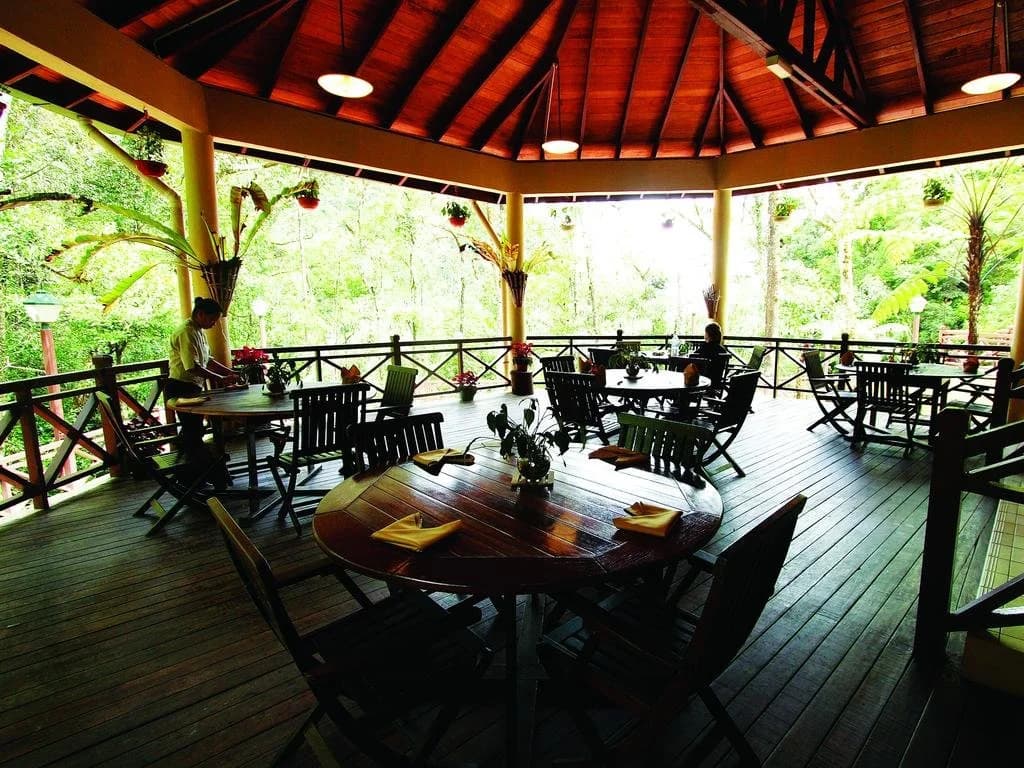 Mesilau Nature Resort - photo 1