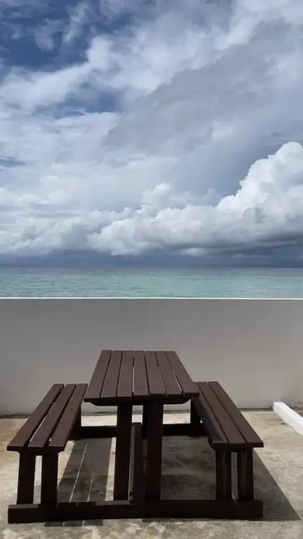 Arwana Perhentian Bluestar - photo 12