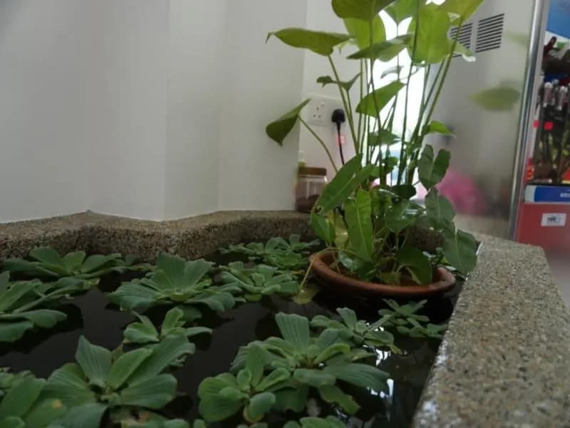 Hotel Kristal - photo 12
