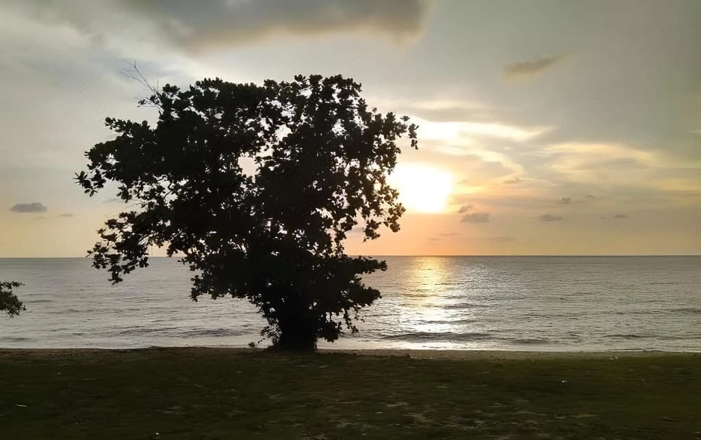 Hornbill Resort Pulau Pangkor - photo 7