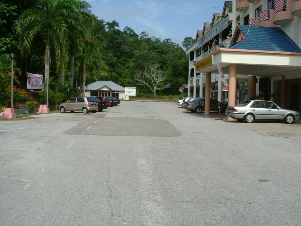 Lipis Plaza Hotel - photo 20