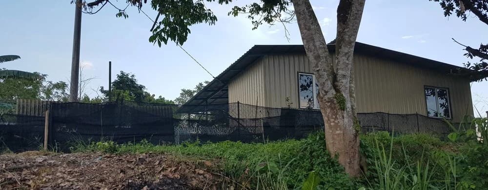 Riverside Lodge Desa Putra - photo 9