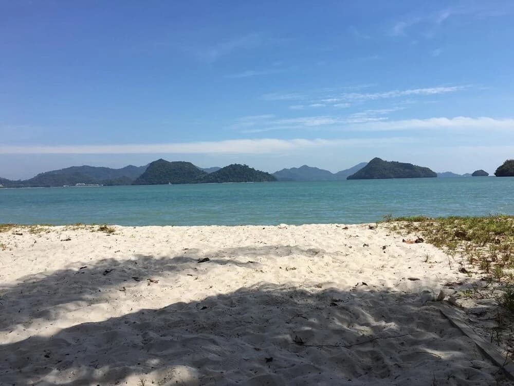 Wild Pasir Panjang - photo 11